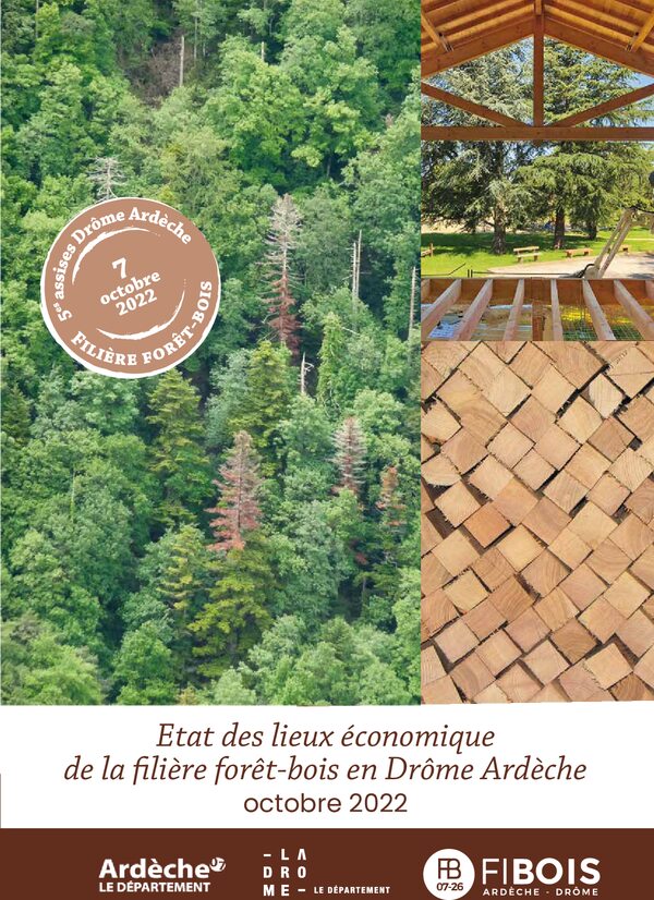 L'état des lieux économique de la filière forêt-bois 07-26